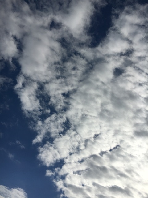 青い空と白い雲